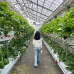 Strawberry farm •^ 🍰🍓💋